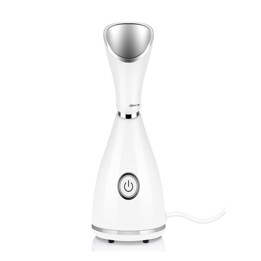 Glow Mist Steamer