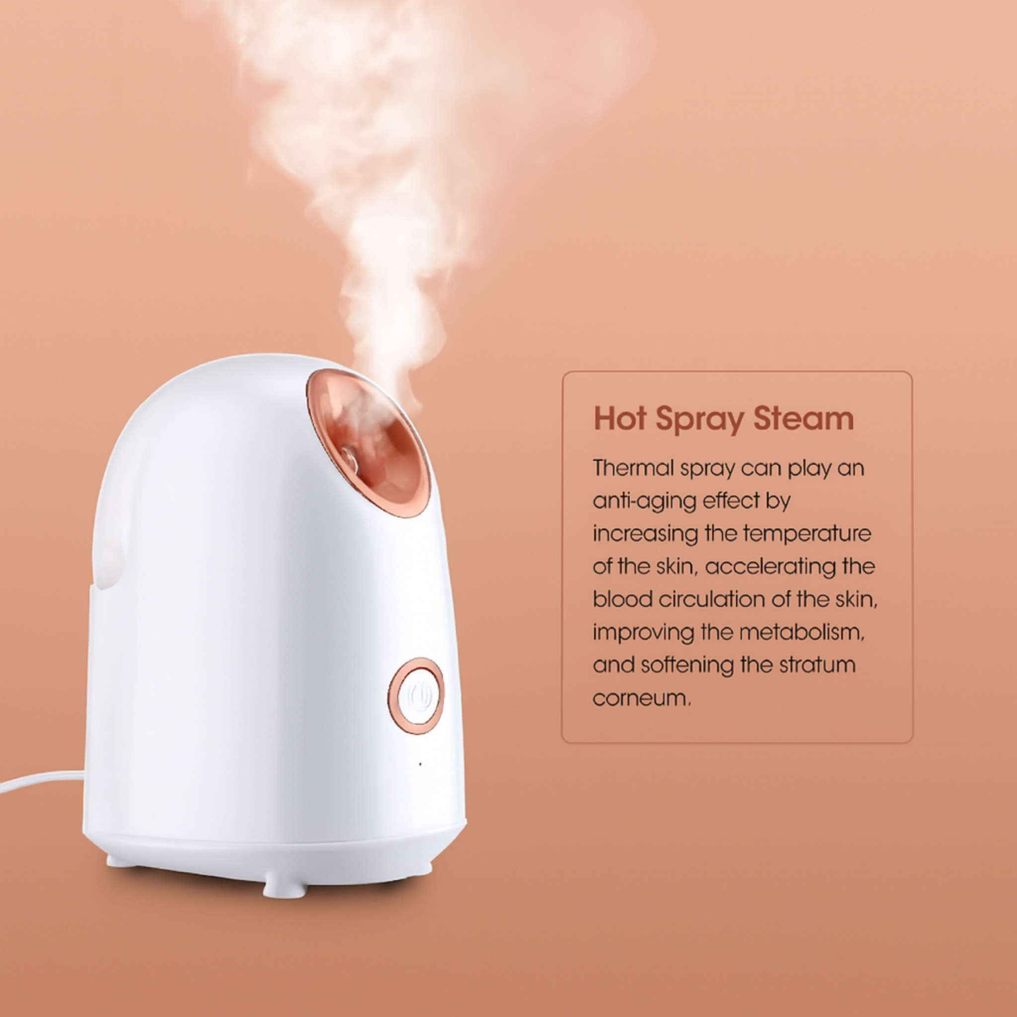 Face Spa Steamer