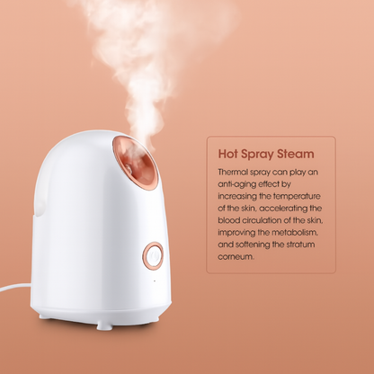 Face Spa Steamer
