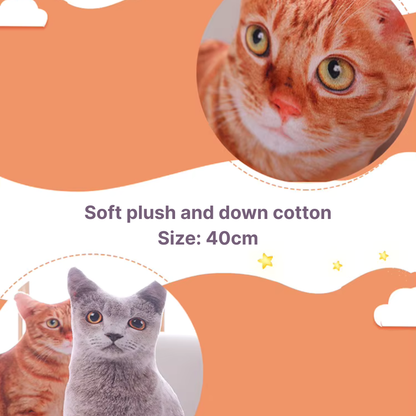 Soft Cat Pillow