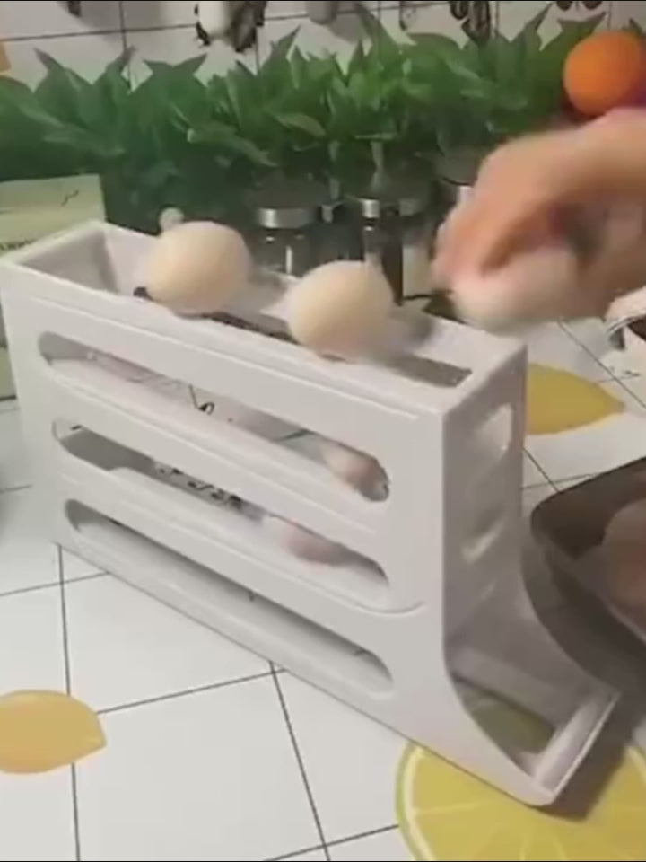 Fridge Egg Rack