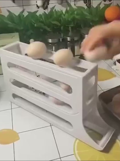 Fridge Egg Rack